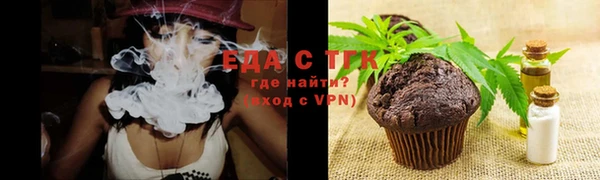 хмурый Осинники