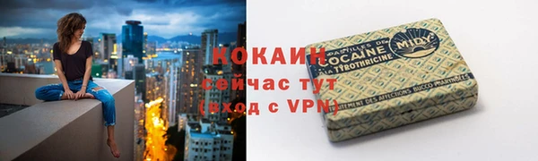 хмурый Осинники