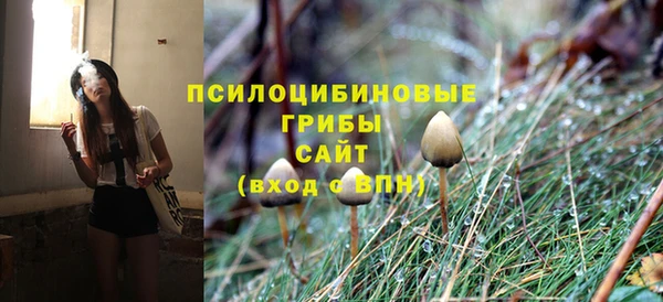 Альфа ПВП Осташков
