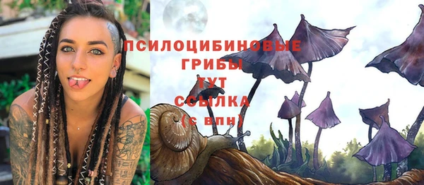 молекула духа Остров