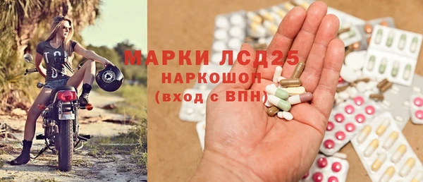 хмурый Осинники