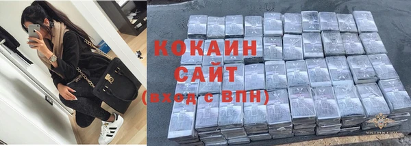 хмурый Осинники
