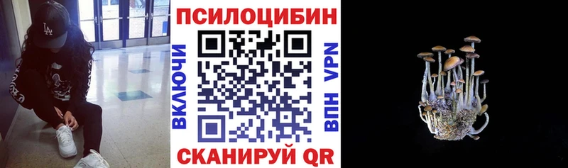 Псилоцибиновые грибы прущие грибы  Нижний Тагил 